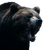 Fierce Bear V7 Vinyl Car Decal Sticker – Waterproof & UV-Resistant 3.4133333333333336"