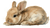 Baby Rabbit Illustration V2 Vinyl Car Decal Sticker – Waterproof & UV-Resistant 5.4