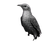 Artistic Bird Vinyl Car Decal Sticker – Waterproof & UV-Resistant 3.4133333333333336"