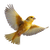 Flying Canary Bird Vinyl Car Decal Sticker – Waterproof & UV-Resistant 3.4133333333333336"
