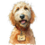 Happy Golden Doodle V9 Vinyl Car Decal Sticker – Waterproof & UV-Resistant 3.4133333333333336"