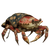 Crab General Triumph Vinyl Car Decal Sticker – Waterproof & UV-Resistant 3.4133333333333336"