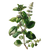 Botanical Mint Drawing Vinyl Car Decal Sticker – Waterproof & UV-Resistant 6.826666666666667"