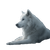 White Wolf Resting V2 Vinyl Car Decal Sticker – Waterproof & UV-Resistant 3.4133333333333336"