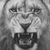 Hyper Realistic Lion V9 Vinyl Car Decal Sticker – Waterproof & UV-Resistant 3.4133333333333336"