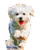 Happy Maltese Puppy V7 Vinyl Car Decal Sticker – Waterproof & UV-Resistant 4.0"