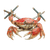 Crab With Nunchucks V2 Vinyl Car Decal Sticker – Waterproof & UV-Resistant 3.4133333333333336"