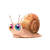 Cute Chiikawa Snail V2 Vinyl Car Decal Sticker – Waterproof & UV-Resistant 6.826666666666667"