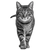 Handsome Tabby Cat V2 Vinyl Car Decal Sticker – Waterproof & UV-Resistant 6.826666666666667"