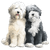 Fluffy Dogs Logo V2 Vinyl Car Decal Sticker – Waterproof & UV-Resistant 3.4133333333333336"