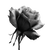 Monochrome Rose V2 Vinyl Car Decal Sticker – Waterproof & UV-Resistant 3.4133333333333336"