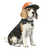 Beagle In Cap V2 Vinyl Car Decal Sticker – Waterproof & UV-Resistant 3.4133333333333336"