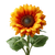 Sun Flower V2 Vinyl Car Decal Sticker – Waterproof & UV-Resistant 3.4133333333333336"