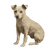 Vintage White Rat Terrier Vinyl Car Decal Sticker – Waterproof & UV-Resistant 6.826666666666667"