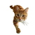 Ginger Cat Leap V2 Vinyl Car Decal Sticker – Waterproof & UV-Resistant 3.4133333333333336"