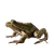 Photorealistic Frog Sideways Vinyl Car Decal Sticker – Waterproof & UV-Resistant 6.826666666666667"