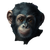 Baby Chimpanzee Portrait Vinyl Car Decal Sticker – Waterproof & UV-Resistant 3.4133333333333336"