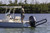 2x Lewmar Boat Anchor | Power Pole Style | Holds Up To 30 Ft | Powder Coated Aluminum | Remote Controlled