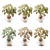 Potato Plant Decay Vinyl Car Decal Sticker – Waterproof & UV-Resistant 3.4133333333333336"