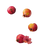 Pomegranate Tree Branch Vinyl Car Decal Sticker – Waterproof & UV-Resistant 4.0"