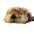 Glittering Sea Otter Vinyl Car Decal Sticker – Waterproof & UV-Resistant 3.4133333333333336"