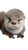 Newborn Baby Otter Vinyl Car Decal Sticker – Waterproof & UV-Resistant 9.706666666666667"