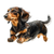 Running Dachshund V3 Vinyl Car Decal Sticker – Waterproof & UV-Resistant 3.4133333333333336"