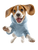 Jumping Beagle Dog V2 Vinyl Car Decal Sticker – Waterproof & UV-Resistant 8.213333333333333"