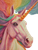 Unicorn With Rainbows Vinyl Car Decal Sticker – Waterproof & UV-Resistant 8.213333333333333"