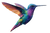 Colorful Flying Hummingbird V2 Vinyl Car Decal Sticker – Waterproof & UV-Resistant 2.986666666666667"