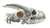 Horrifying Degenerated Skull Vinyl Car Decal Sticker – Waterproof & UV-Resistant 5.4