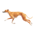 Running Spanish Greyhound Vinyl Car Decal Sticker – Waterproof & UV-Resistant 3.4133333333333336"