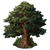 Isometric Sequoia Tree Vinyl Car Decal Sticker – Waterproof & UV-Resistant 3.4133333333333336"