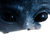 Alien Gazing Sea Vinyl Car Decal Sticker – Waterproof & UV-Resistant 6.826666666666667"