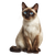 Siamese Cat Portrait V6 Vinyl Car Decal Sticker – Waterproof & UV-Resistant 6.826666666666667"