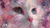 Stylized Cat Portrait V3 Vinyl Car Decal Sticker – Waterproof & UV-Resistant 2.72"