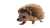 Friendly Hedgehog Walking Vinyl Car Decal Sticker – Waterproof & UV-Resistant 5.4