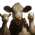 Farm Animals V3 Vinyl Car Decal Sticker – Waterproof & UV-Resistant 6.826666666666667"