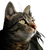 Tabby Cat Portrait V8 Vinyl Car Decal Sticker – Waterproof & UV-Resistant 3.4133333333333336"