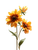 Autumn Forest Flowers Vinyl Car Decal Sticker – Waterproof & UV-Resistant 8.213333333333333"