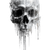 Demonic Dripping Skull Vinyl Car Decal Sticker – Waterproof & UV-Resistant 3.4133333333333336"