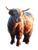 Highland Cow Painting V5 Vinyl Car Decal Sticker – Waterproof & UV-Resistant 8.213333333333333"