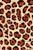 Leopard Pattern V2 Vinyl Car Decal Sticker – Waterproof & UV-Resistant 8.96"