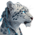 Snow Leopard With Braids Vinyl Car Decal Sticker – Waterproof & UV-Resistant 3.4133333333333336"