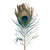 Peacock Feather V8 Vinyl Car Decal Sticker – Waterproof & UV-Resistant 6.826666666666667"