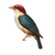 Exotic Bird Perched V2 Vinyl Car Decal Sticker – Waterproof & UV-Resistant 6.826666666666667"