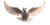 Smiling Flying Dove Vinyl Car Decal Sticker – Waterproof & UV-Resistant 5.12"