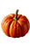 Dewy Pumpkin Close-Up Vinyl Car Decal Sticker – Waterproof & UV-Resistant 8.96"