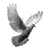 Flying Dove Painting Vinyl Car Decal Sticker – Waterproof & UV-Resistant 3.4133333333333336"