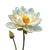 White Lotus Painting V3 Vinyl Car Decal Sticker – Waterproof & UV-Resistant 3.4133333333333336"
